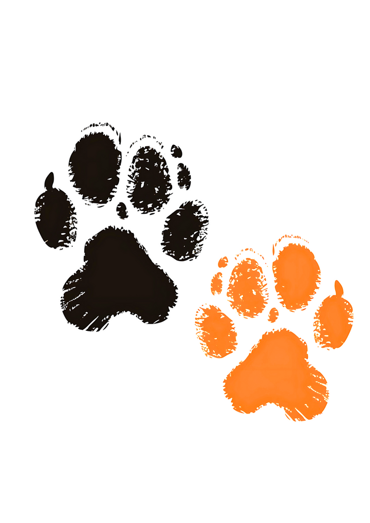 A white cotton t-shirt with a black and orange paw print design on the front.