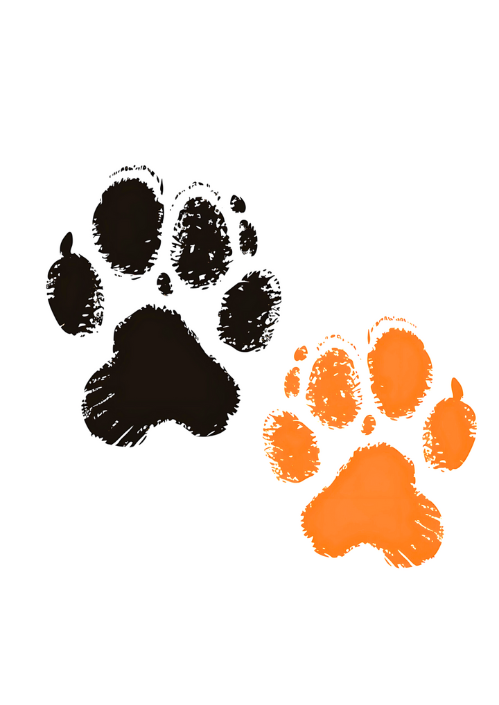 Paw Print T-Shirt | White Cotton Tee with Black and Orange Paw Design | Stylish and Comfortable Unisex Shirt for Animal Lovers